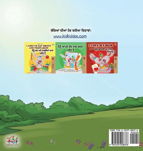 Being a Superhero (Punjabi Book for Kids -India)