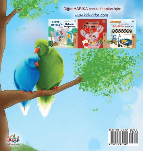 Goodnight My Love! (Turkish Children's Book)