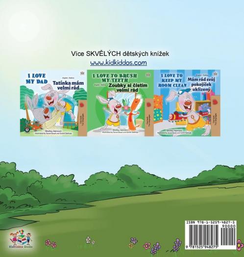Being a Superhero (Czech children's Book)