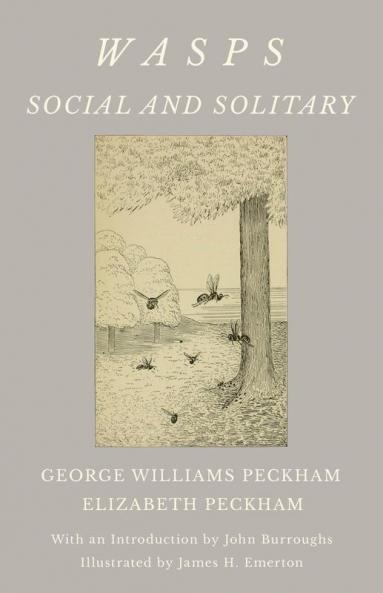 Wasps - Social and Solitary; With an Introduction by John Burroughs - Illustrated by James H. Emerton