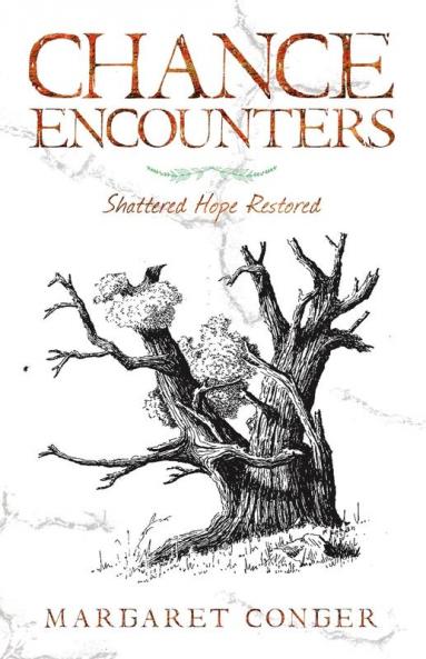 Chance Encounters: Shattered Hope Restored