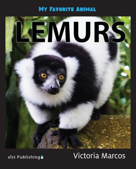 My Favorite Animal: Lemurs