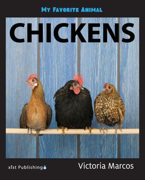My Favorite Animal: Chickens