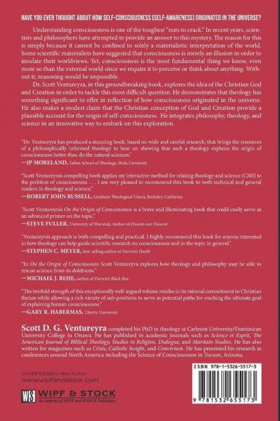 On the Origin of Consciousness: An Exploration Through the Lens of the Christian Conception of God and Creation