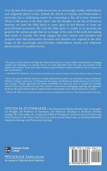 Pentecostal Preaching and Ministry in Multicultural and Post-Christian Canada: 4 (McMaster Ministry Studies)