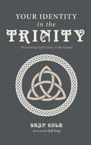 Your Identity in the Trinity: Discovering God's Grace in the Gospel