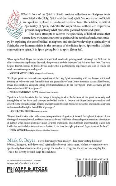 What Is Born of the Spirit Is Spirit: A Biblical Spirituality of Spirit