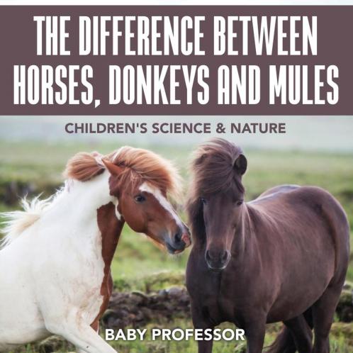 The Difference Between Horses Donkeys and Mules | Children's Science & Nature