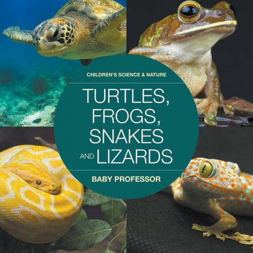 Turtles Frogs Snakes and Lizards | Children's Science & Nature