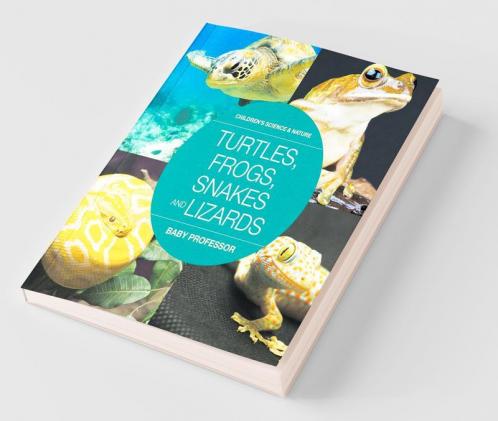 Turtles Frogs Snakes and Lizards | Children's Science & Nature