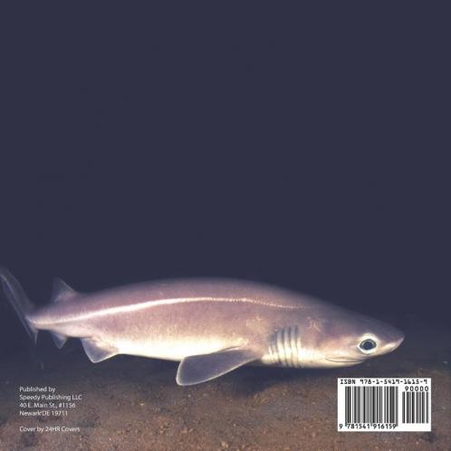 Creatures from the Darkest Depths of the Sea - Ocean Animals Book | Children's Marine Life Books