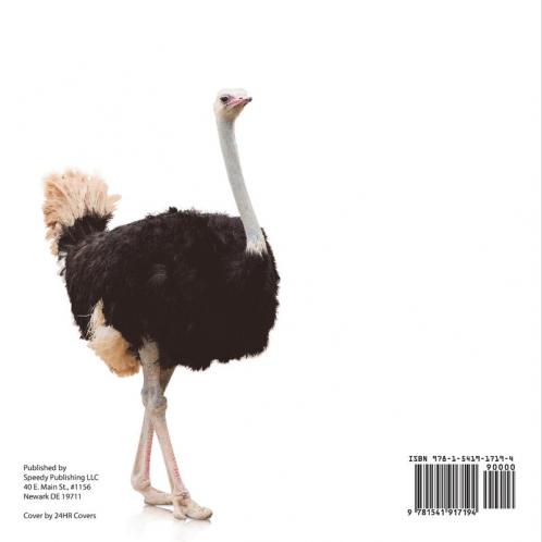 Swoop Attack and Kill - Deadly Birds | Birds Of Prey for Kids | Children's Bird Books