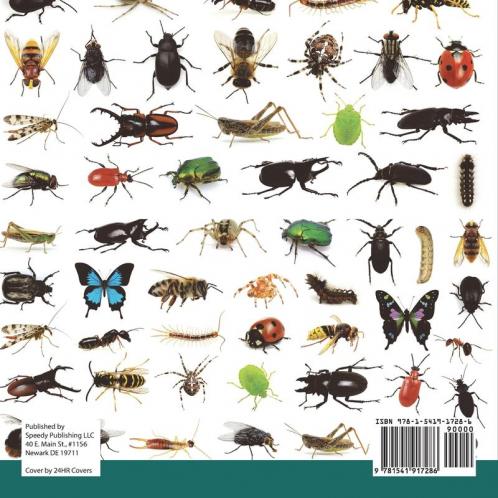 Spiders Ticks Mites Scorpions and More Insects for Kids - Arachnid Edition Children's Bug & Spider Books