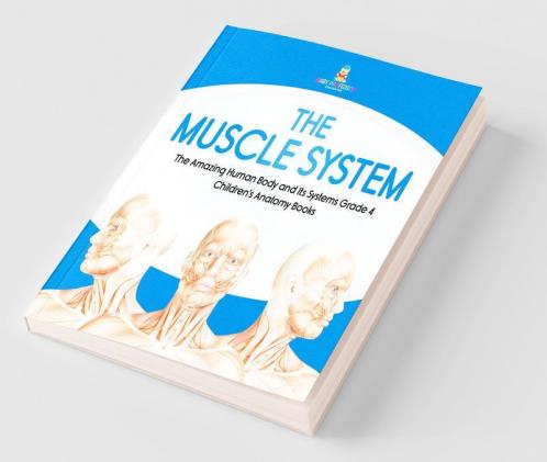 The Muscle System | The Amazing Human Body and Its Systems Grade 4 | Children's Anatomy Books