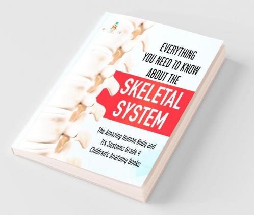 Everything You Need to Know About the Skeletal System | The Amazing Human Body and Its Systems Grade 4 | Children's Anatomy Books