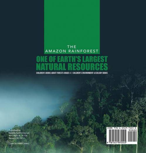 The Amazon Rainforest