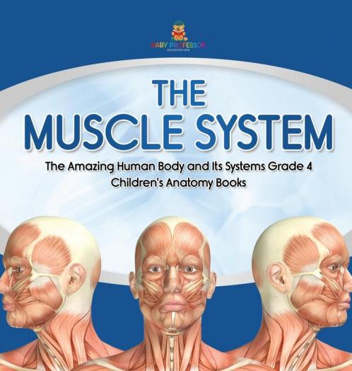 The Muscle System The Amazing Human Body and Its Systems Grade 4 Children's Anatomy Books