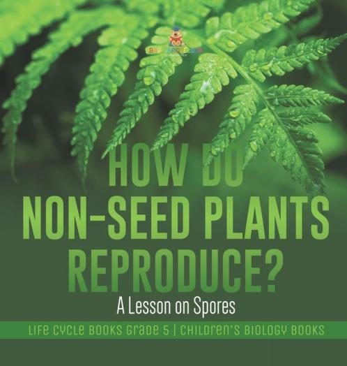 How Do Non-Seed Plants Reproduce? A Lesson on Spores | Life Cycle Books Grade 5 | Children's Biology Books