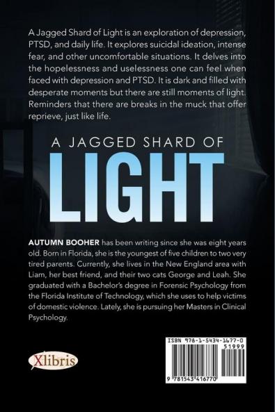 A Jagged Shard of Light