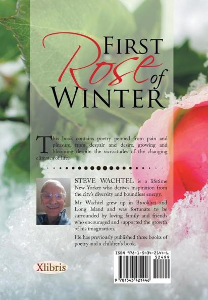 First Rose of Winter