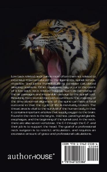 Cia Tiger Shadow Assassination Association