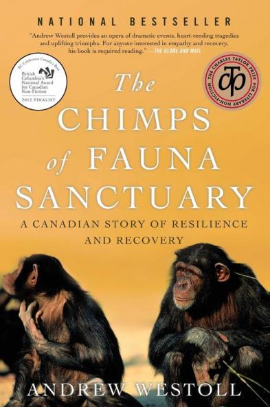 Chimps Of Fauna Sanctuary