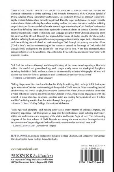God's Wounds: Hermeneutic of the Christian Symbol of Divine Suffering: 100 (Princeton Theological Monograph)