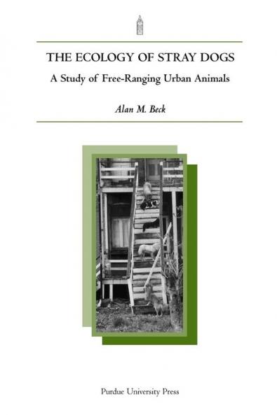 Ecology of Stray Dogs