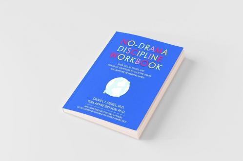 No-Drama Discipline Workbook