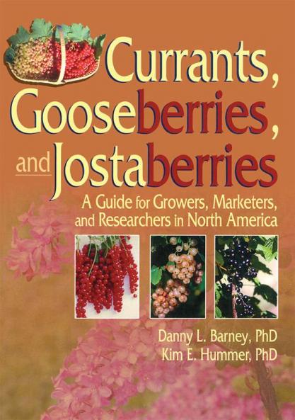 Currants Gooseberries and Jostaberries