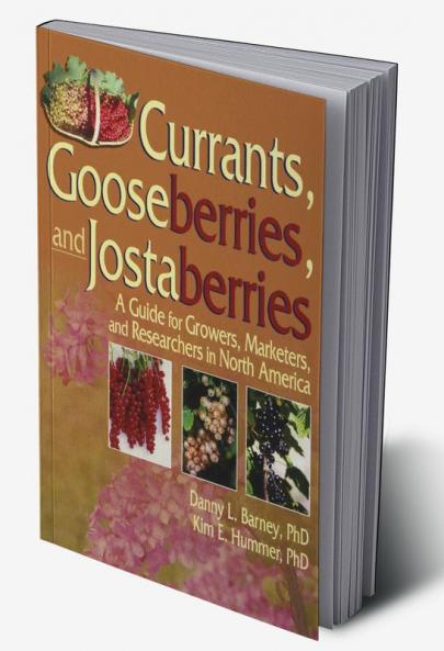 Currants Gooseberries and Jostaberries