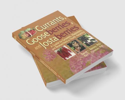 Currants Gooseberries and Jostaberries