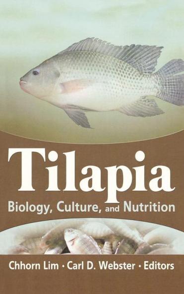 Tilapia