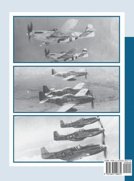 339th Fighter Group