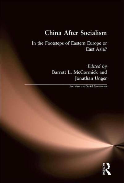 China After Socialism