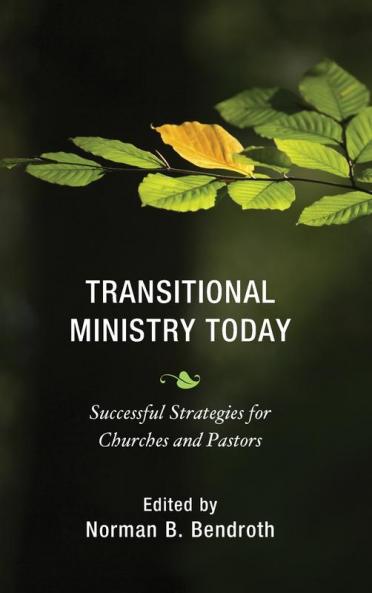 Transitional Ministry Today