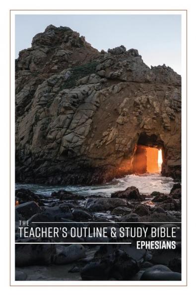 The Teacher