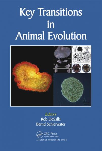 Key Transitions in Animal Evolution