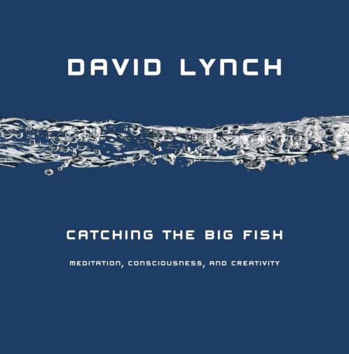 Catching the Big Fish
