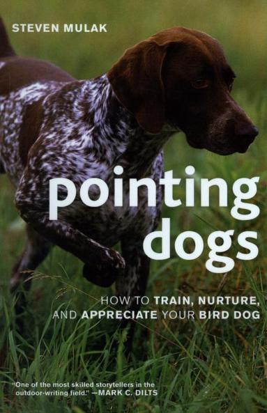 Pointing Dogs