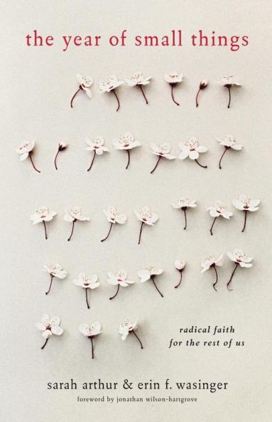 The Year of Small Things - Radical Faith for the Rest of Us