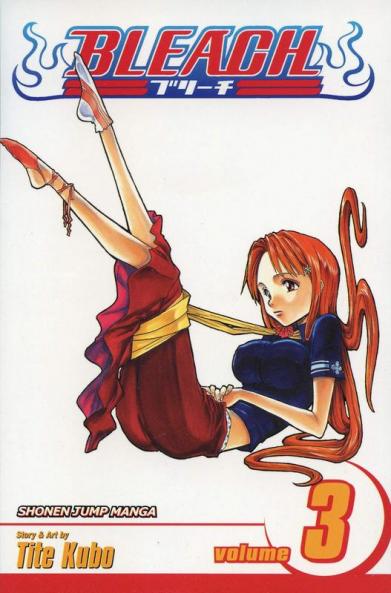 Bleach Volume 3