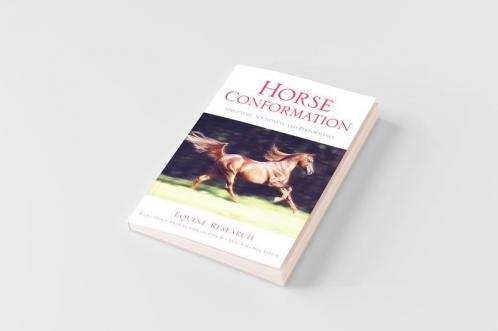 Horse Conformation