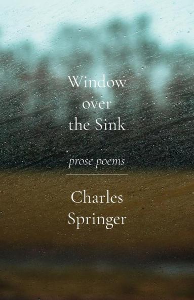 Window over the Sink