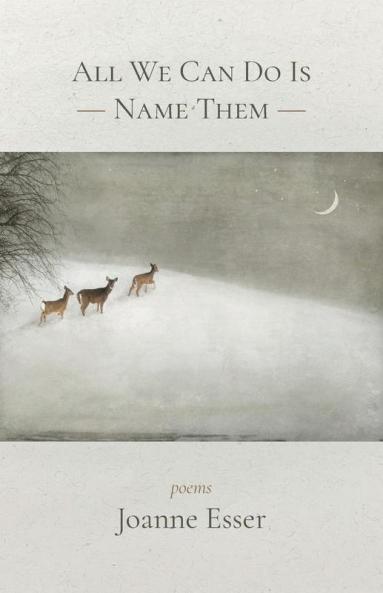 All We Can Do Is Name Them