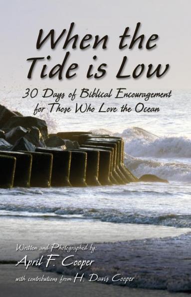 When the Tide is Low | Softcover
