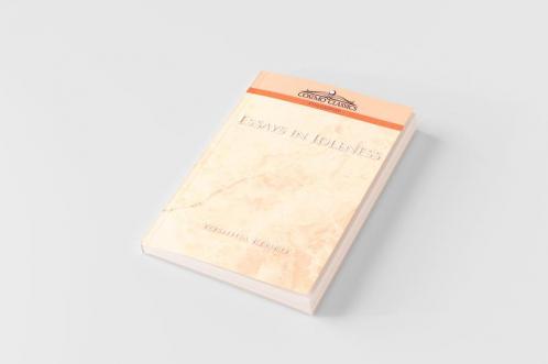 Essays in Idleness