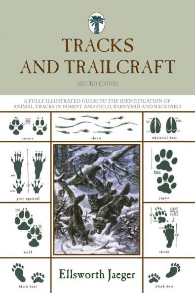 Tracks and Trailcraft