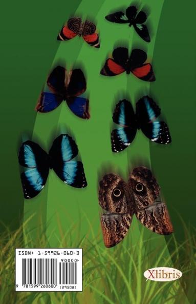 Adventures with Butterflies