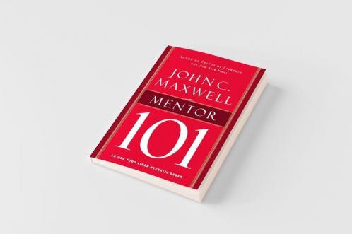 Mentor 101